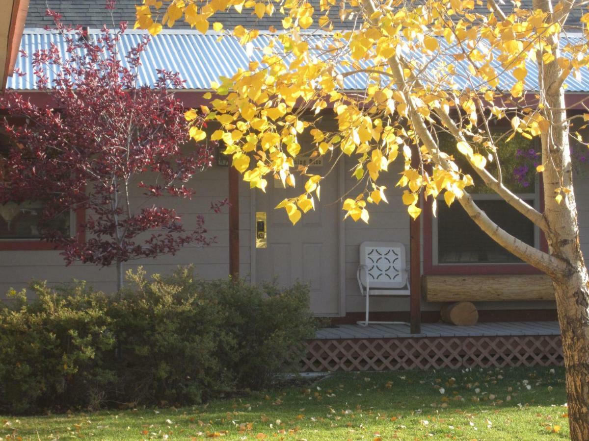Pinedale Cozy Cabins Exterior photo